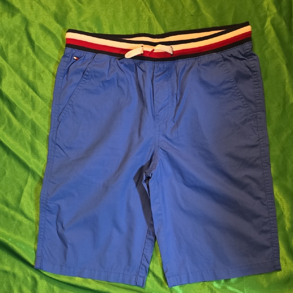 Tommy Hilfiger Blue Swim Shorts with Tricolor Waistband